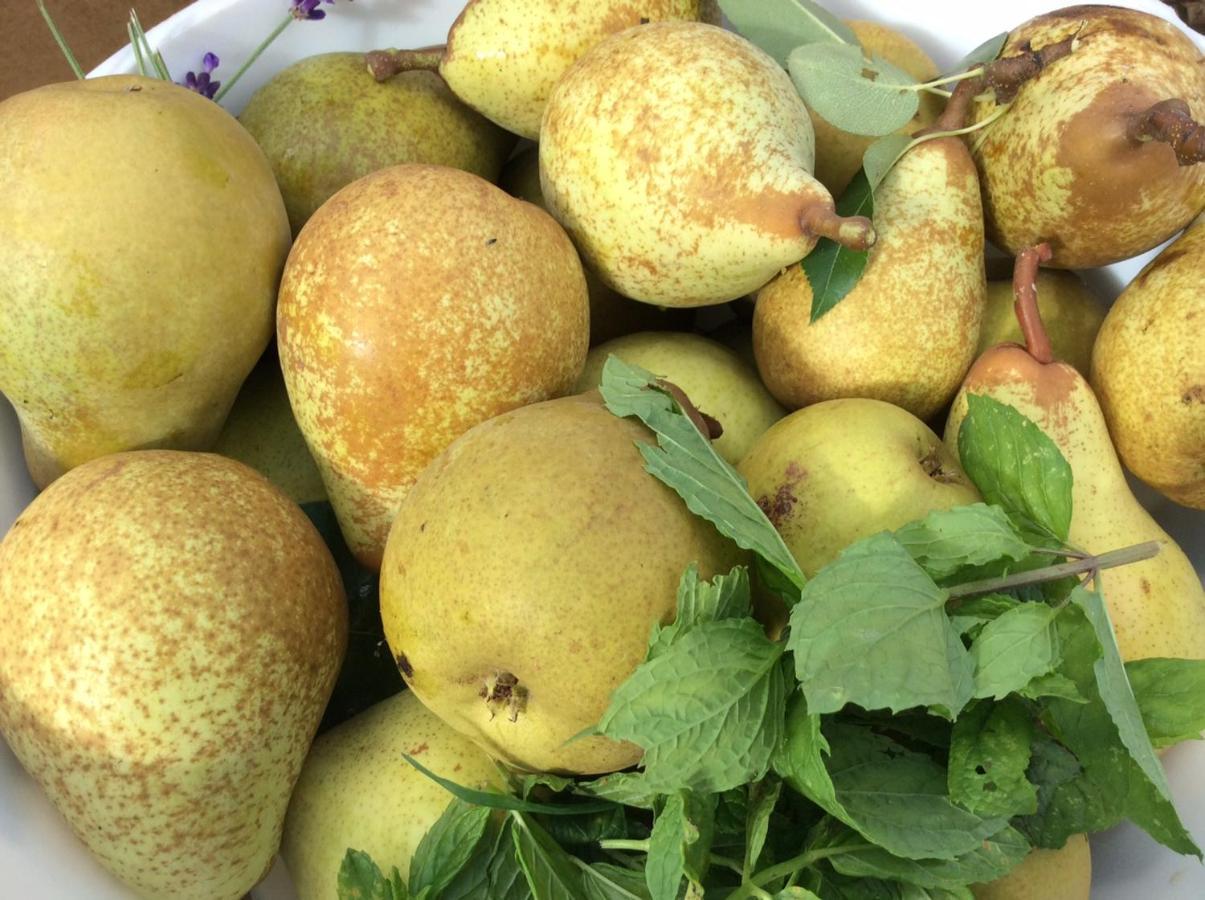 הוילה Selvigny Tomates Cerises A La Ferme De Sorval מראה חיצוני תמונה